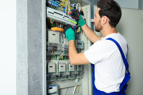 Best Electrical System Inspection  in Hartford, MI